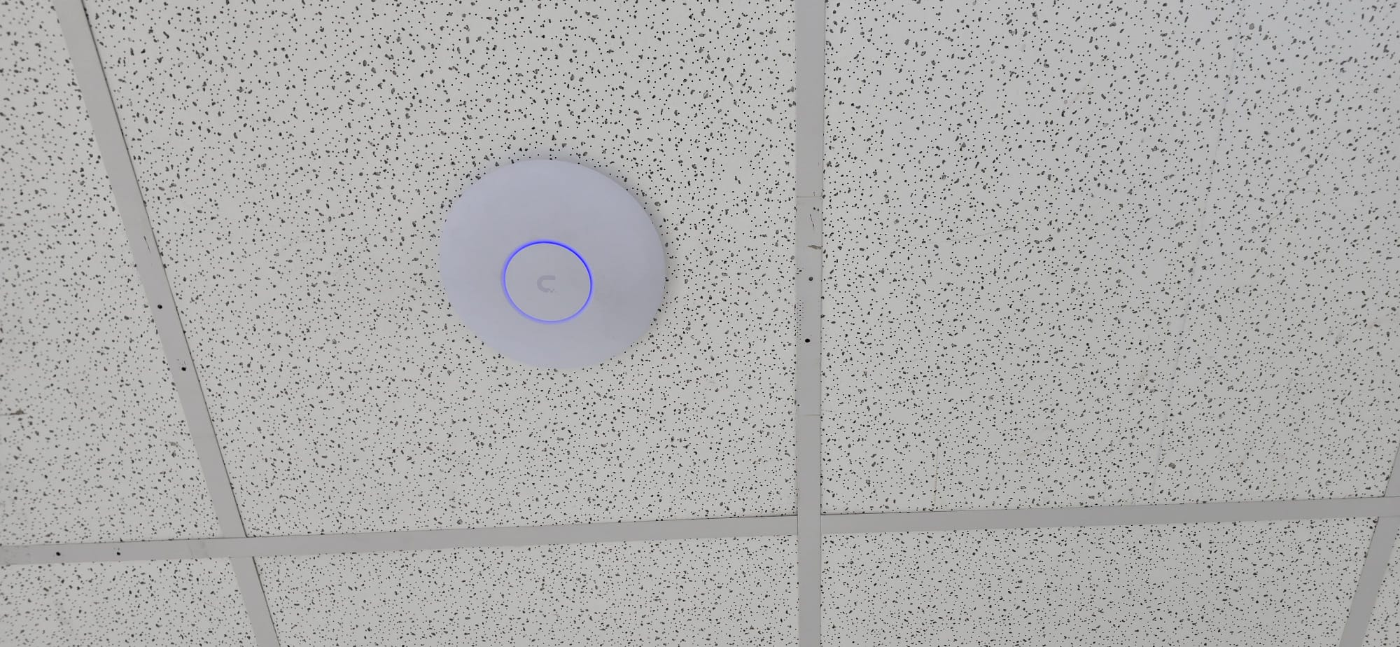 High-Performance Routing